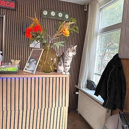 Flex-inn 2*